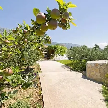 Eden House With Private Pool And Vineyard Vakantiehuis Kaštela