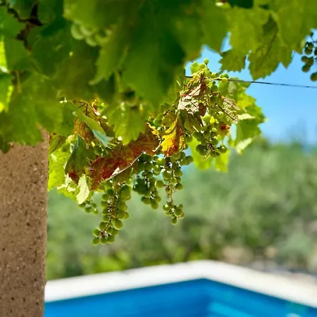 Vakantiehuis Eden House With Private Pool And Vineyard