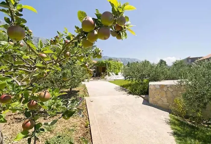 Eden House With Private Pool And Vineyard Feriehus Kaštela